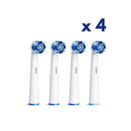 Bitvae R2 Replacement Head (Pack of 4)